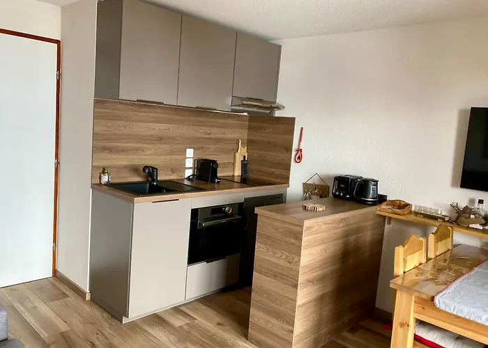 Apartment Le Flocon De - Pres Du Telecabine *