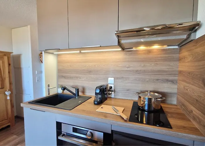 Le Flocon De - Pres Du Telecabine Apartment Thollon-les-Memises